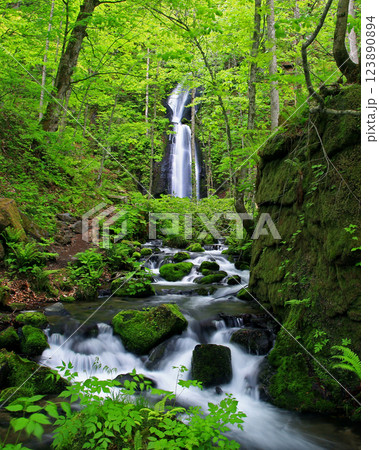 奥入瀬渓流 青森県 奥入瀬渓流 青森県 123890894