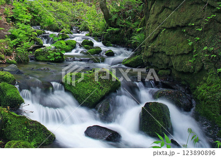 奥入瀬渓流 青森県 奥入瀬渓流 青森県 123890896