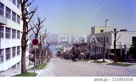 Hachiman-zaka @Hakodate / 坂道から見える風景(函館の観光名所 八幡坂) 123891059