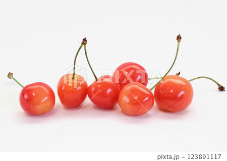 白背景のさくらんぼ 123891117