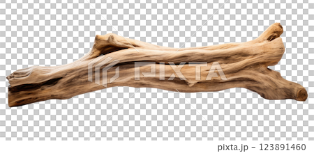 Old Dry Tree Trunk 123891460