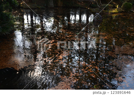 板敷山大覚寺　＃95 123891646