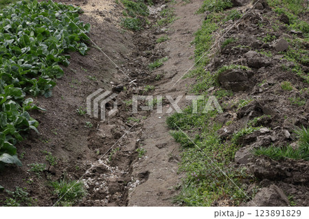 畑の暗渠排水管工事 123891829