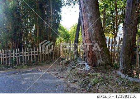 板敷山大覚寺　＃103 123892110