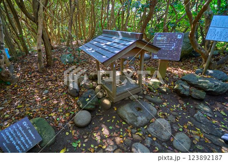 高知県 足摺岬の遊歩道の七不思議スポット(地獄の穴) 高知県 足摺岬の遊歩道の七不思議スポット(地獄の穴) 123892187