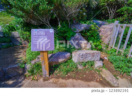 高知県 足摺岬の遊歩道の七不思議スポット(大師一夜建立ならずの華表) 123892191