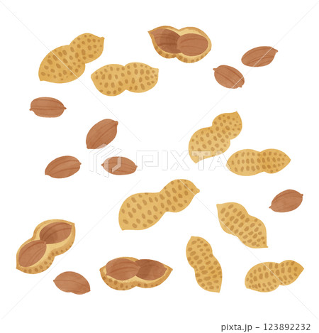 手描きのイラスト/ピーナッツ 123892232