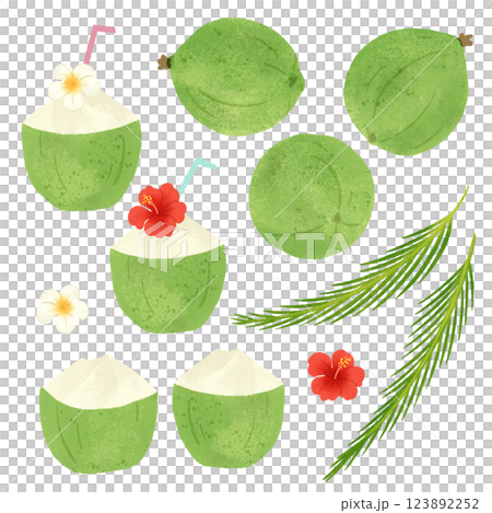 手描きのイラスト/青いココナッツ 123892252