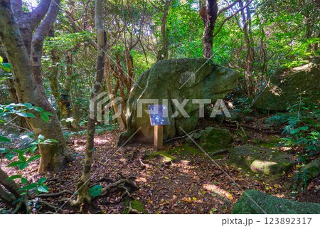 高知県 足摺岬の遊歩道の七不思議スポット(亀石) 123892317