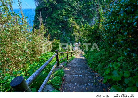 高知県の足摺岬の遊歩道から白山神社(白山本宮)の鳥居を見る 高知県の足摺岬の遊歩道から白山神社(白山本宮)の鳥居を見る 123892319