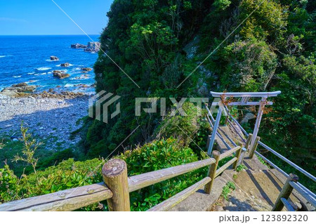 高知県の足摺岬の遊歩道から白山神社(白山本宮)の鳥居を見る 123892320
