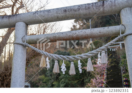 桜咲く参道と石造りの鳥居 123892331