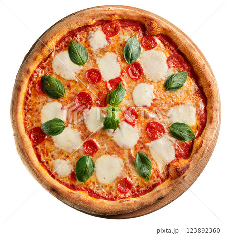 ピザのグラフィック素材(JPEG/PNG) ピザのグラフィック素材(JPEG/PNG) 123892360