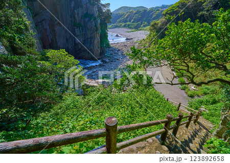 高知県の足摺岬の白山神社(白山本宮)の鳥居付近の遊歩道から白山洞門方面を見る 123892658