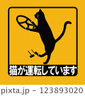 猫が運転しています_AT(顔付き) 123893020