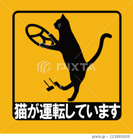 猫が運転しています_AT(顔付き) 123893020