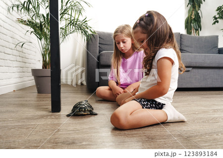 Two girls interact with a turtle on the floor in a cozy modern living room during a sunny afternoon 123893184