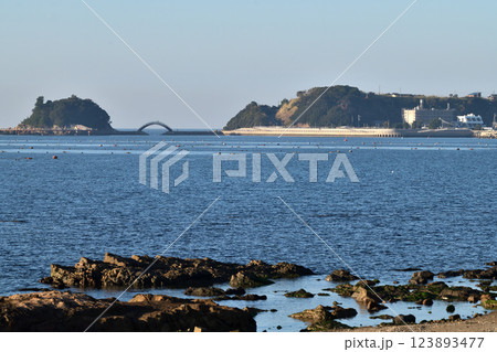 淡路島 南淡路市阿那賀 弁天島を望む 淡路島 南淡路市阿那賀 弁天島を望む 123893477