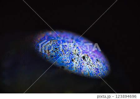 神秘の創造空間 神秘の創造空間 123894696