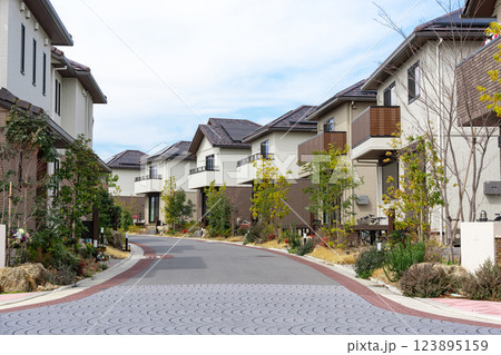 家　住宅　住宅地 123895159