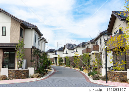 家 住宅 住宅地 家 住宅 住宅地 123895167