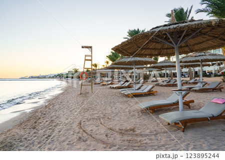 Coastal paradise with sun loungers and palm trees at sunset near the beach resort 123895244