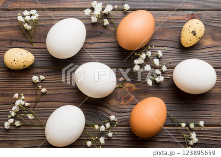 Happy Easter composition. Easter eggs on colored table with gypsophila. Natural dyed colorful eggs background top view with copy space 123895659