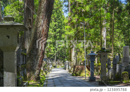 初夏の高野山 神聖な奥の院参道 初夏の高野山 神聖な奥の院参道 123895788