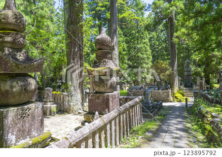 初夏の高野山　神聖な奥の院参道 123895792