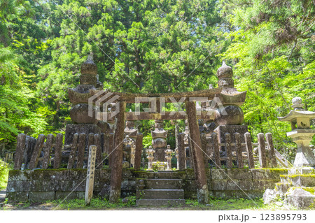 初夏の高野山　神聖な奥の院参道 123895793