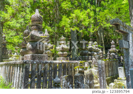 初夏の高野山　神聖な奥の院参道 123895794
