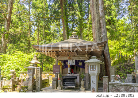 初夏の高野山 神聖な奥の院参道 汗かき地蔵 初夏の高野山 神聖な奥の院参道 汗かき地蔵 123895802