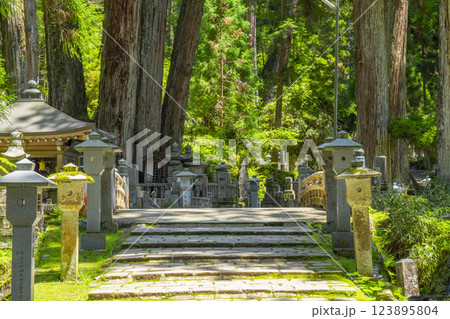 初夏の高野山　神聖な奥の院参道　中の橋 123895804