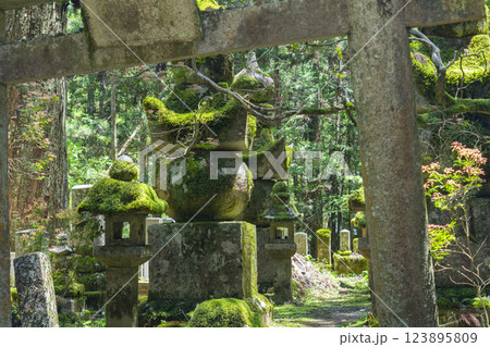 初夏の高野山 神聖な奥の院参道 初夏の高野山 神聖な奥の院参道 123895809