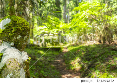 初夏の高野山　神聖な奥の院参道　苔むしたお地蔵さま 123895812