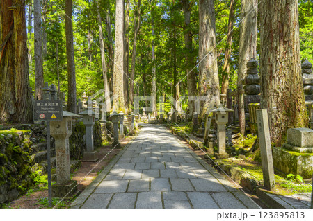 初夏の高野山　神聖な奥の院参道 123895813