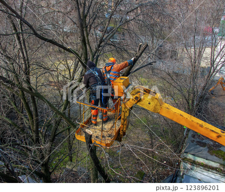 Municipal service workers stand with a chainsaw in a crane basket and trim dangerous trees Municipal service workers stand with a chainsaw in a crane basket and trim dangerous trees 123896201