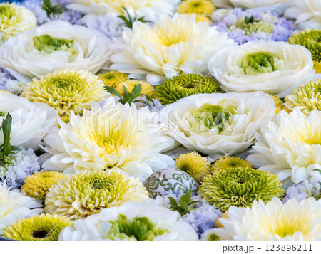 1月の季節の花に彩られた美しい花手水 123896211