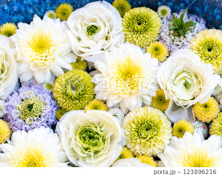 1月の季節の花に彩られた美しい花手水 123896216