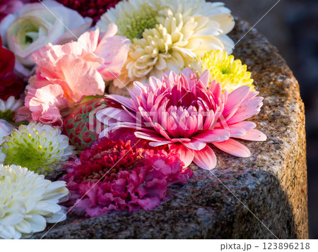 1月の季節の花に彩られた美しい花手水 1月の季節の花に彩られた美しい花手水 123896218