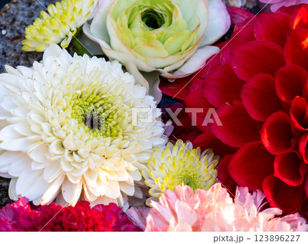 1月の季節の花に彩られた美しい花手水 1月の季節の花に彩られた美しい花手水 123896227