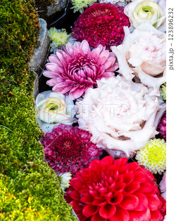 1月の季節の花に彩られた美しい花手水 123896232