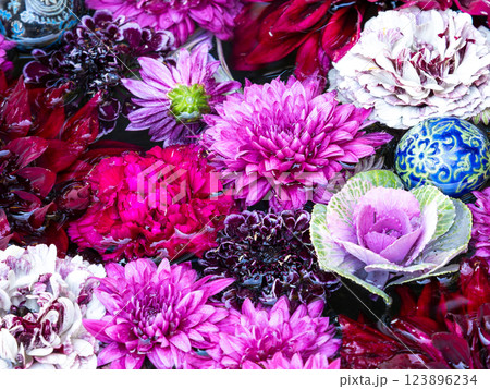 1月の季節の花に彩られた美しい花手水 1月の季節の花に彩られた美しい花手水 123896234
