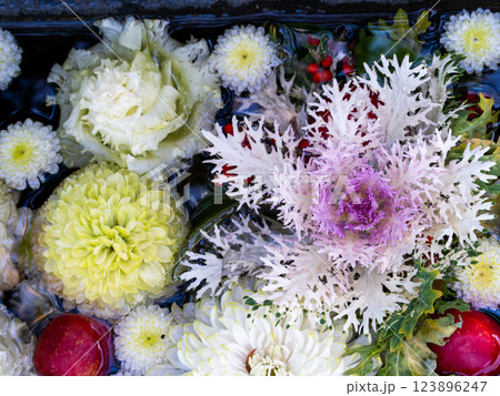 1月の季節の花に彩られた美しい花手水 1月の季節の花に彩られた美しい花手水 123896247