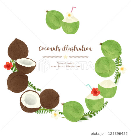いろいろなココナッツの手描きイラスト/サークル いろいろなココナッツの手描きイラスト/サークル 123896425