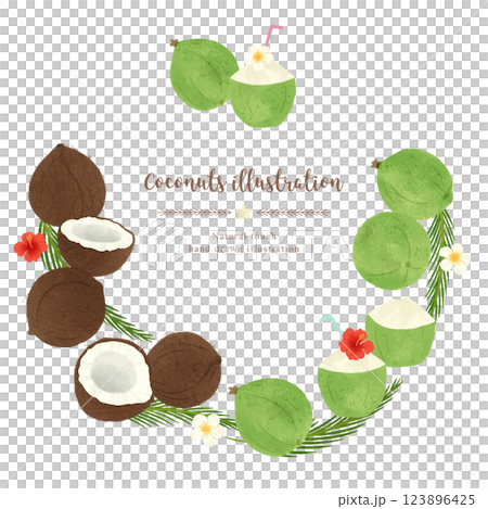 いろいろなココナッツの手描きイラスト/サークル いろいろなココナッツの手描きイラスト/サークル 123896425