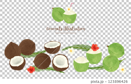 Various coconut hand-drawn illustrations / wide 123896426