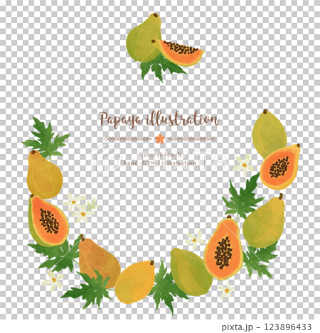 木瓜手繪插圖/圓圈 123896433