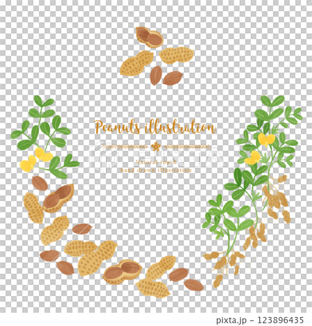 Peanuts hand drawn illustration/circle 123896435