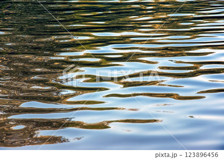 Water ripple texture background. Wavy water surface during sunset, golden light reflecting in the water 123896456